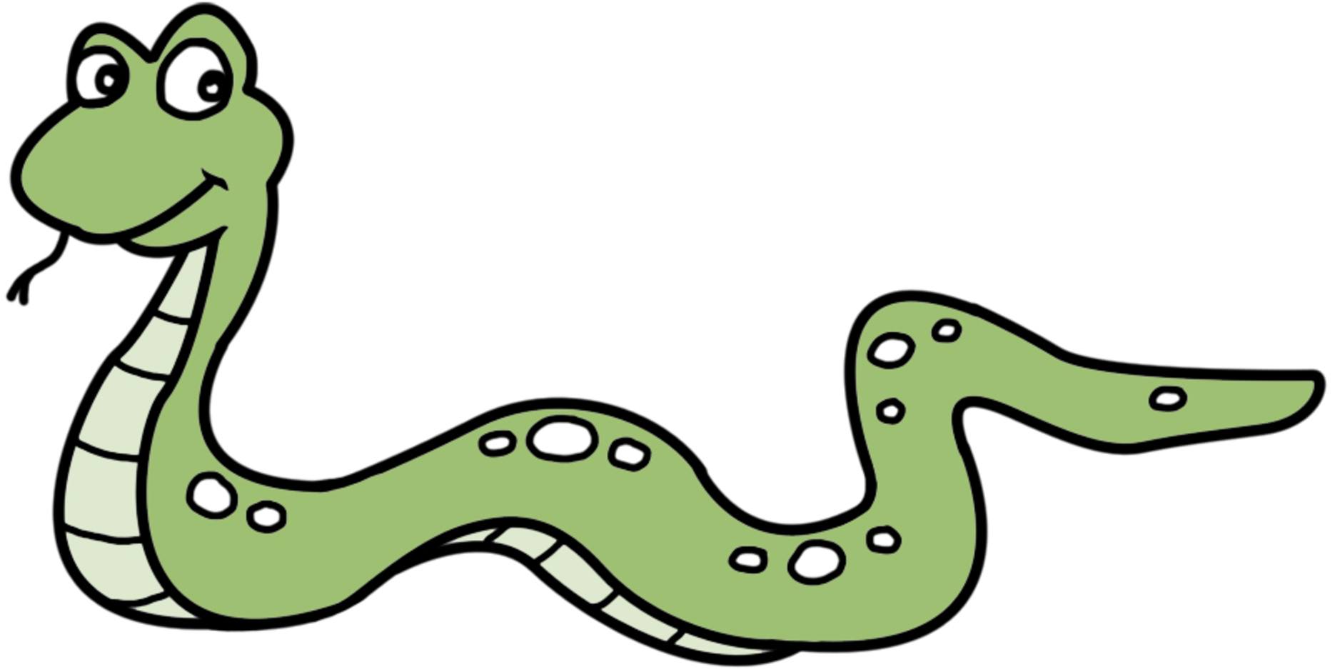 Snakes In The Grass
